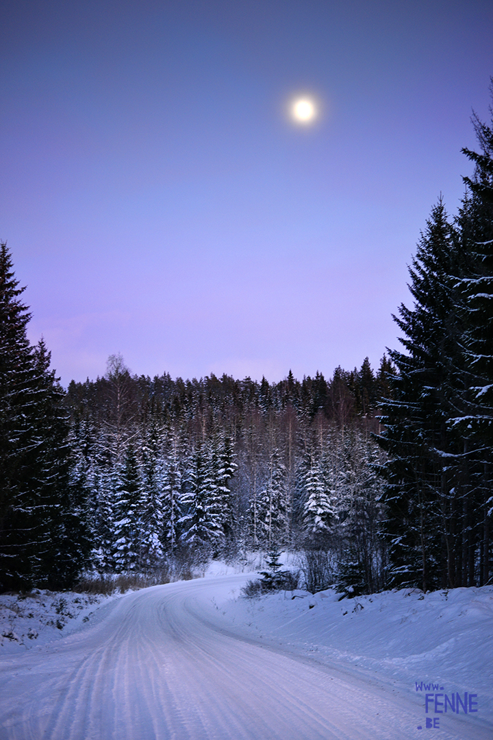 Night, moonlight and snow | www.Fenne.be