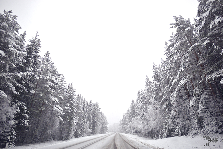 Snowy road | www.Fenne.be