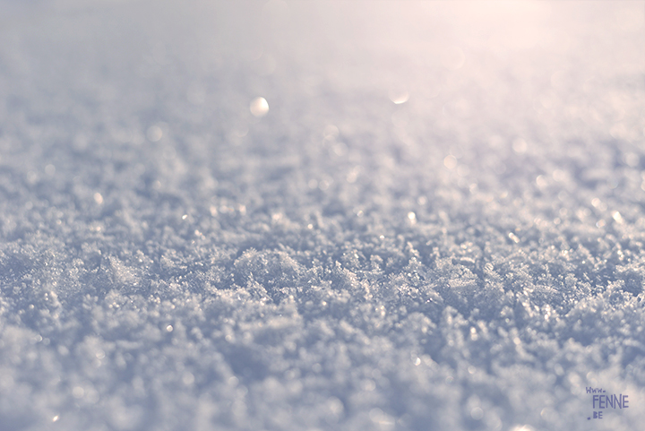 5 tactics for winter | close up of snow | www.Fenne.be