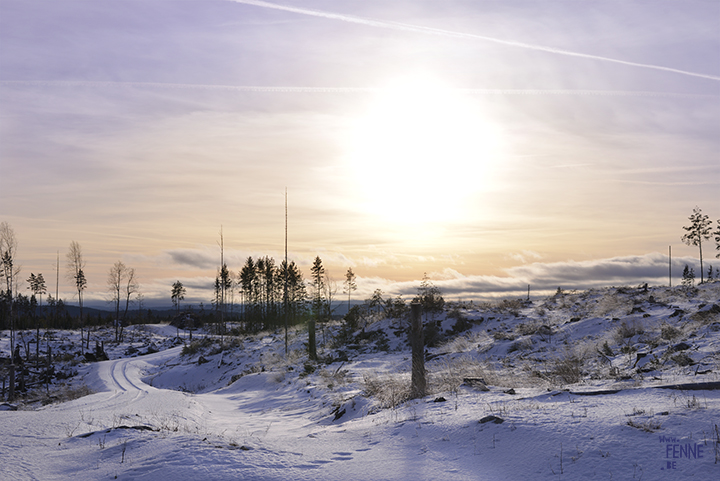 Sweden | Dalarna | winter walk | www.Fenne.be