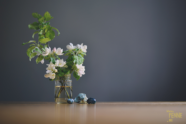 Spring in Sweden, apple blossoms in our kitchen | blog on www.Fenne.be