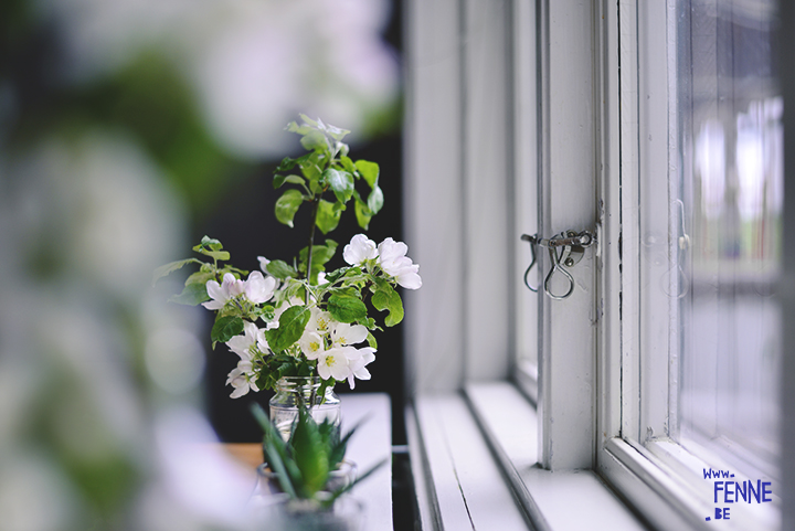 Spring in Sweden, apple blossoms in our kitchen | blog on www.Fenne.be