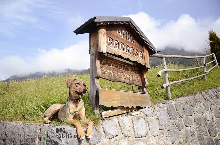 Travel to Alpbach in Tirol Austria, visiting a church, hiking, enjoying great food. Blog on www.Fenne.be