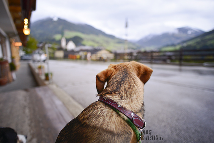 Travel to Alpbach in Tirol Austria, visiting a church, hiking, enjoying great food. Blog on www.Fenne.be