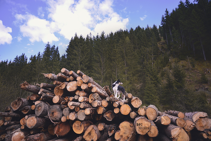 Travel to Alpbach in Tirol Austria, visiting a church, hiking, enjoying great food. Blog on www.Fenne.be