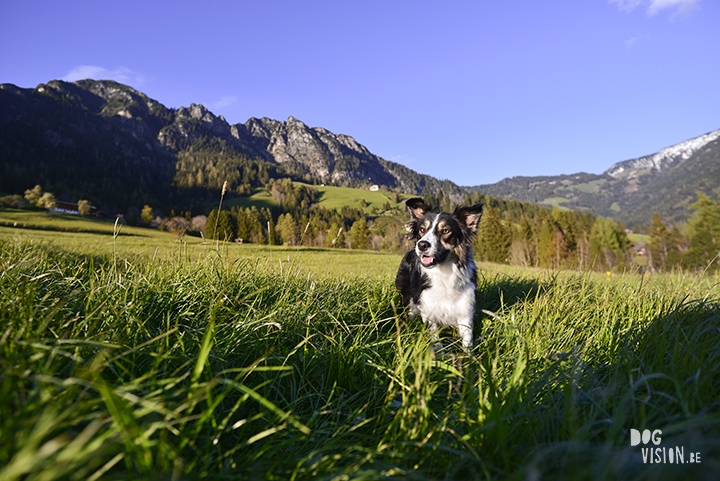 Travel to Alpbach in Tirol Austria, visiting a church, hiking, enjoying great food. Blog on www.Fenne.be