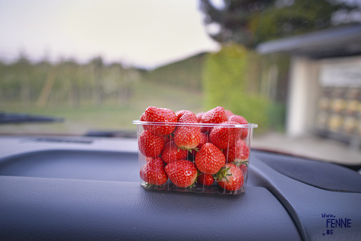 Sweet fresh Belgium strawberries! | Foodie | www.Fenne.be