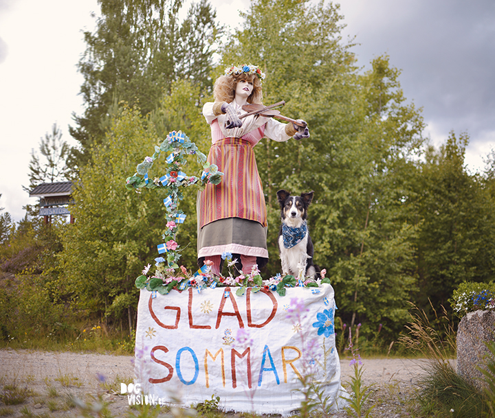 Flatruet and camping in Jämtland, Sweden | blog on www.Fenne.be