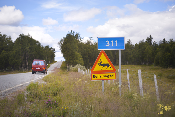 Flatruet and camping in Jämtland, Sweden | blog on www.Fenne.be