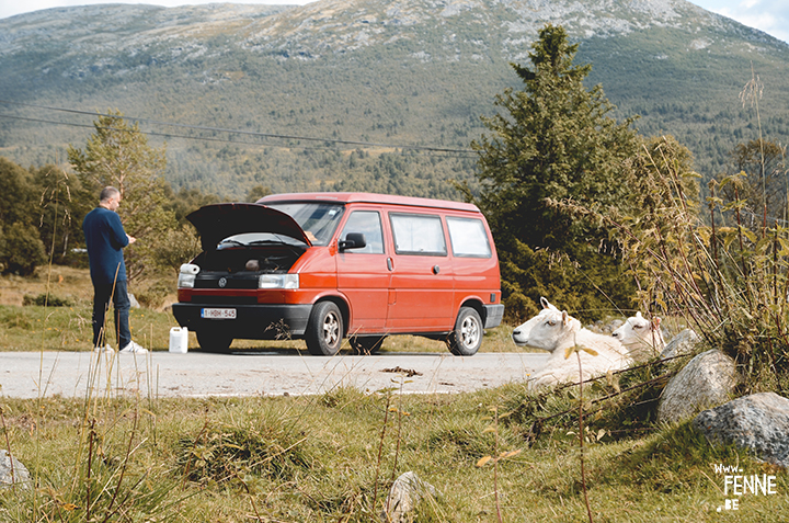 Volkswagen California | travel | Norway | www.Fenne.be