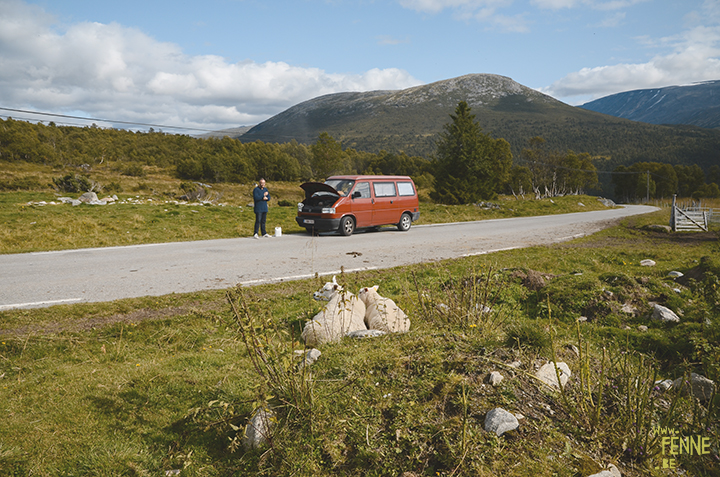 Volkswagen California | travel | Norway | www.Fenne.be