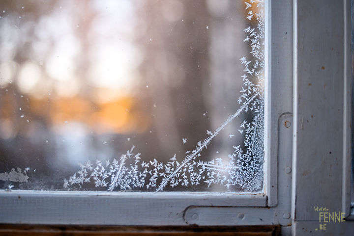 Winter is drawing on my window | winter in Sweden | nature photography | www.Fenne.be