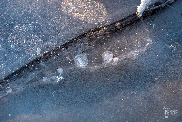 Frozen Days | winter in Sweden | Nature photography | www.Fenne.be