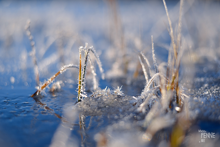 Frozen Days | winter in Sweden | Nature photography | www.Fenne.be