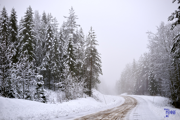 Wednesday Wanderings| nature photography | Hiking with dogs| Sweden | blog | www.Fenne.be