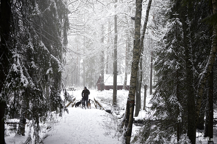 Wednesday Wanderings| nature photography | Hiking with dogs| Sweden | blog | www.Fenne.be