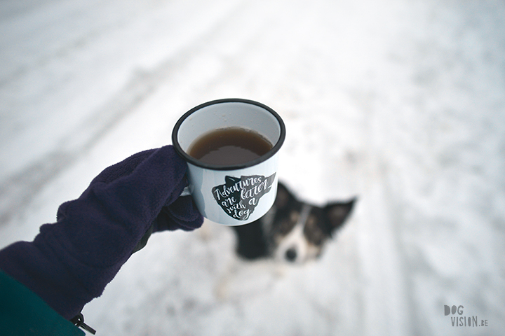 Wednesday Wanderings| nature photography | Hiking with dogs| Sweden | blog | www.Fenne.be