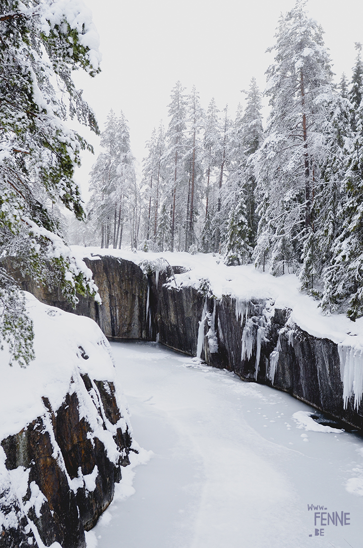 Wednesday Wanderings| nature photography | Hiking with dogs| Sweden | blog | www.Fenne.be