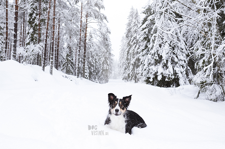 Wednesday Wanderings| nature photography | Hiking with dogs| Sweden | blog | www.Fenne.be