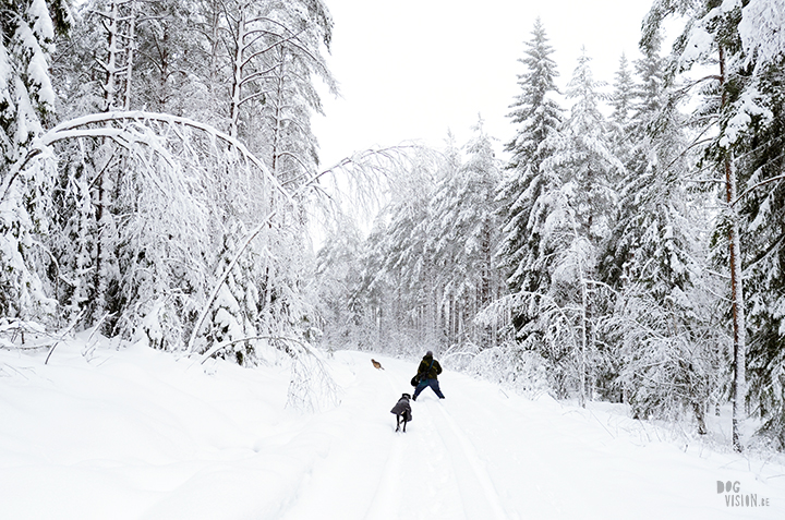 Wednesday Wanderings| nature photography | Hiking with dogs| Sweden | blog | www.Fenne.be