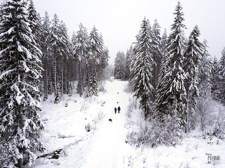 Wednesday Wanderings| nature photography | Hiking with dogs| Sweden | blog | www.Fenne.be