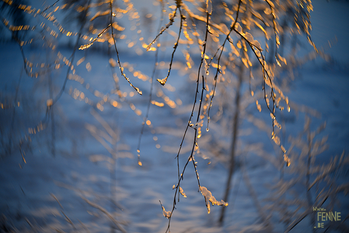  Wednesday Wanderings | nature photography Sweden | www.Fenne.be