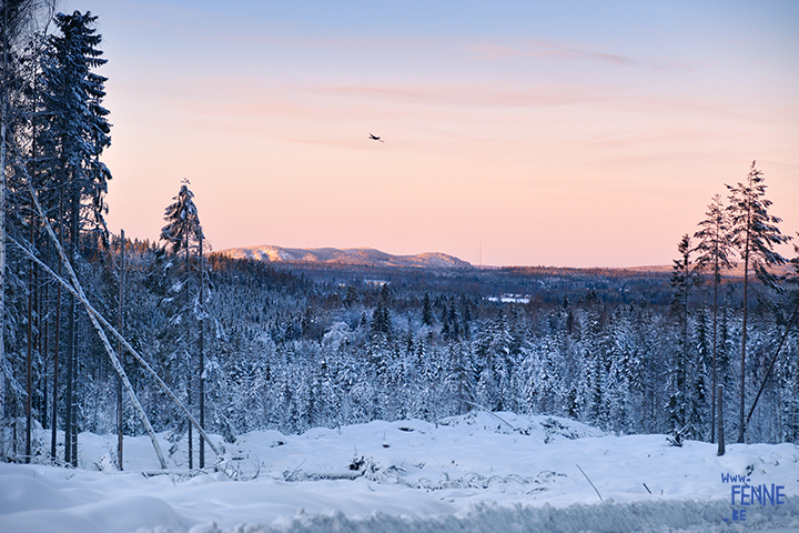  Wednesday Wanderings | nature photography Sweden | www.Fenne.be