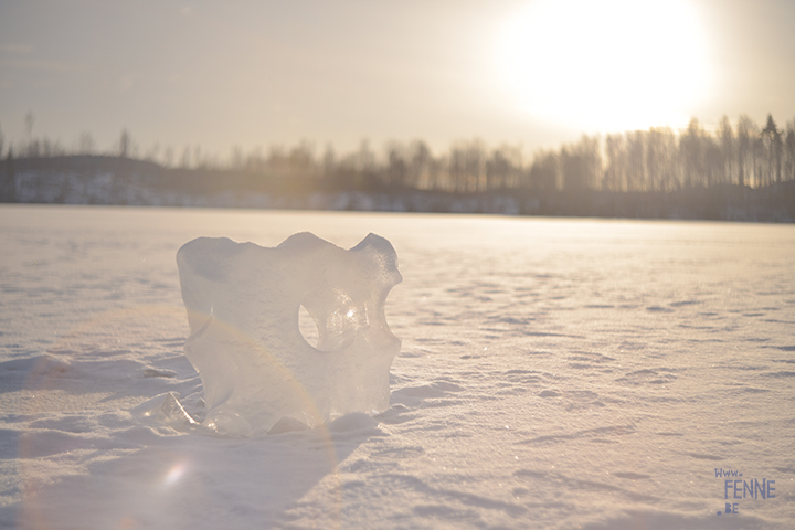  Wednesday Wanderings | nature photography Sweden | www.Fenne.be