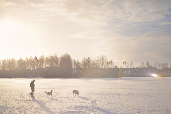  Wednesday Wanderings | nature photography Sweden | www.Fenne.be