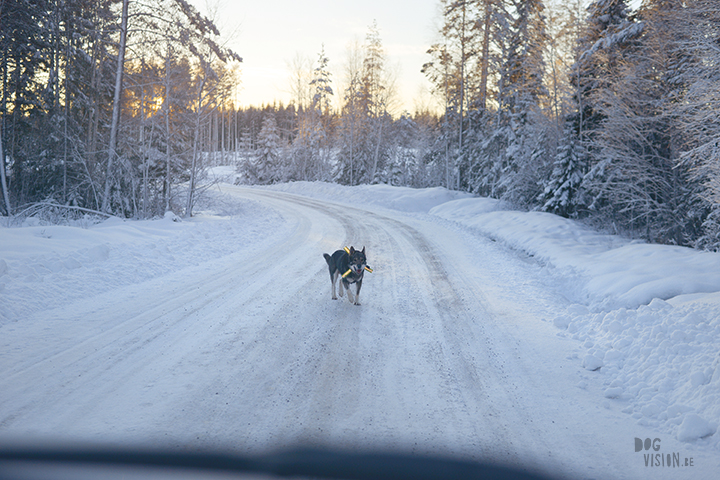  Wednesday Wanderings | nature photography Sweden | www.Fenne.be