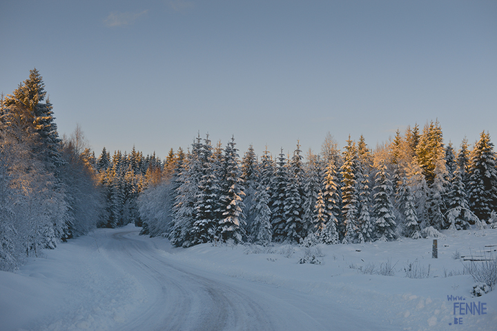  Wednesday Wanderings | nature photography Sweden | www.Fenne.be