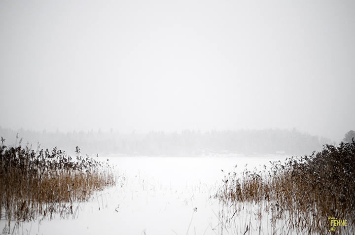 Wednesday Wanderings (05) | photographing Swedish life and nature | Nikon photographer| Snow | www.Fenne.be