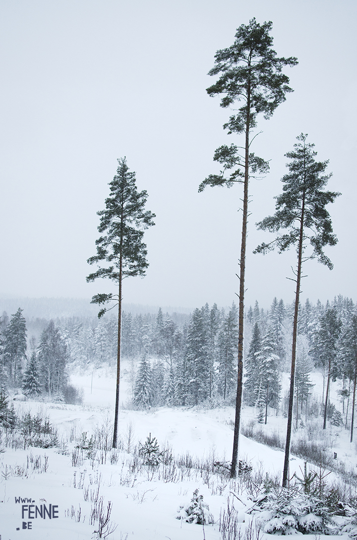 Wednesday Wanderings (05) | photographing Swedish life and nature | Nikon photographer| Snow | www.Fenne.be