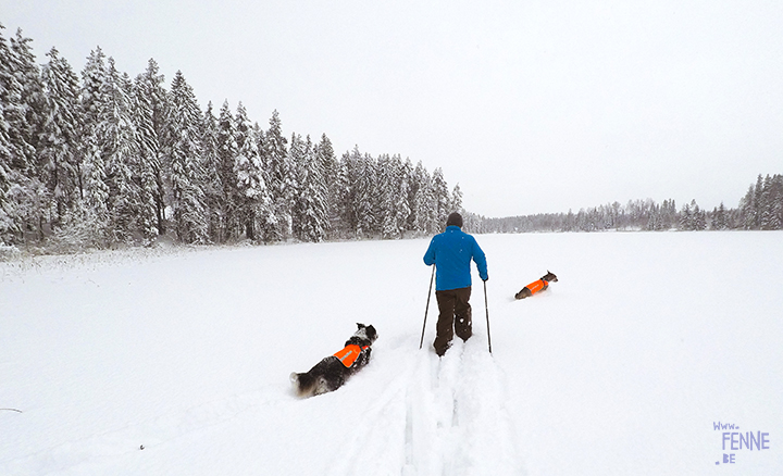 Wednesday Wanderings (05) | photographing Swedish life and nature | Nikon photographer| Snow | www.Fenne.be