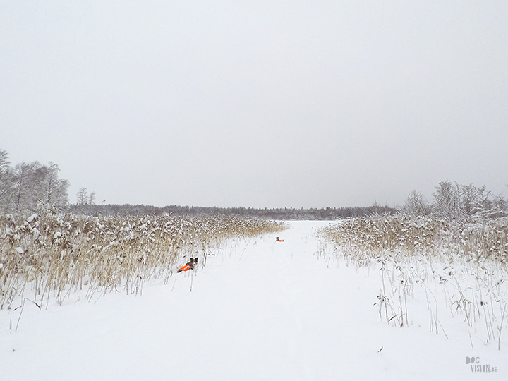 Wednesday Wanderings (05) | photographing Swedish life and nature | Nikon photographer| Snow | www.Fenne.be