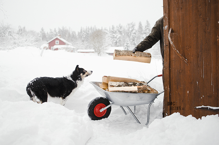 Wednesday Wanderings (05) | photographing Swedish life and nature | Nikon photographer| Snow | www.Fenne.be