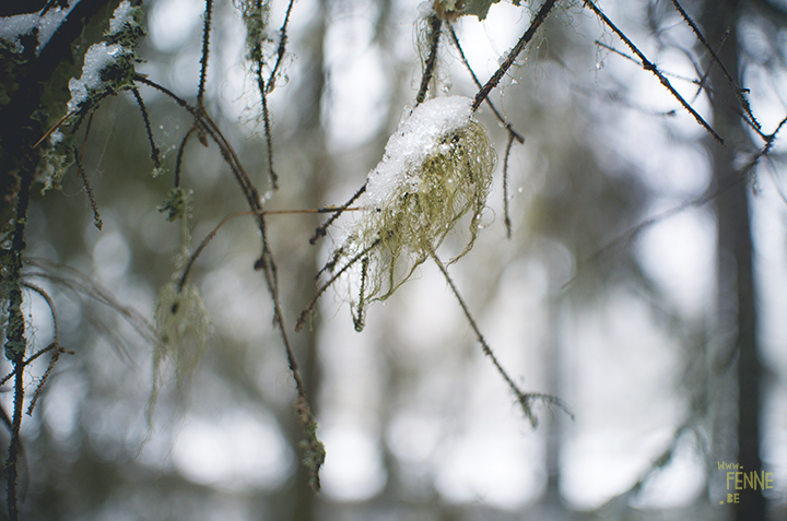 Wednesday Wanderings (06)| Nordic lifestyle, exploring Sweden, nature photography | www.Fenne.be