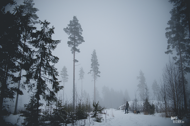 Wednesday Wanderings (06)| Nordic lifestyle, exploring Sweden, nature photography | www.Fenne.be