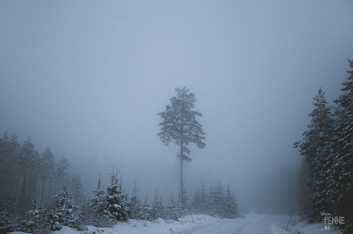 Wednesday Wanderings| nature photography | Hiking with dogs| Sweden | blog | www.Fenne.be