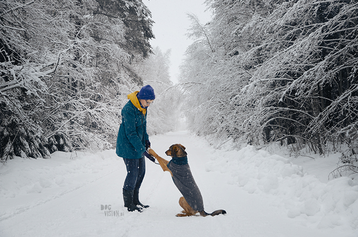 Wednesday Wanderings| nature photography | Hiking with dogs| Sweden | blog | www.Fenne.be