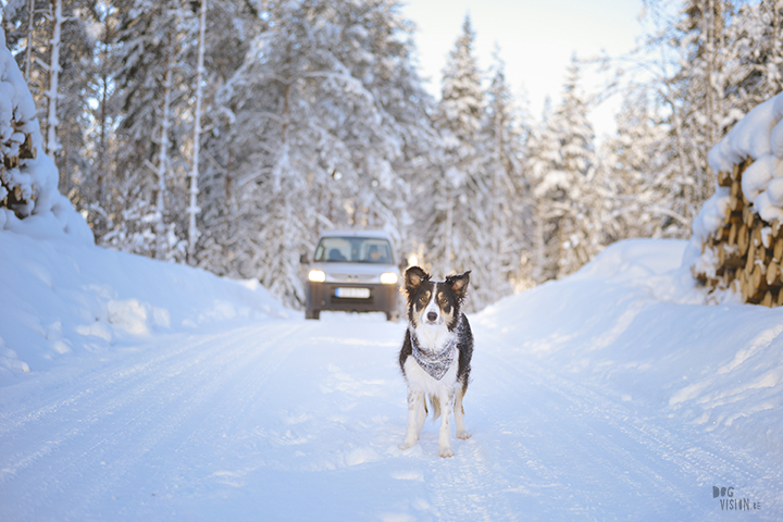 Wednesday Wanderings (07)| hiking and nature photography in Dalarna, Sweden | blog on www.Fenne.be