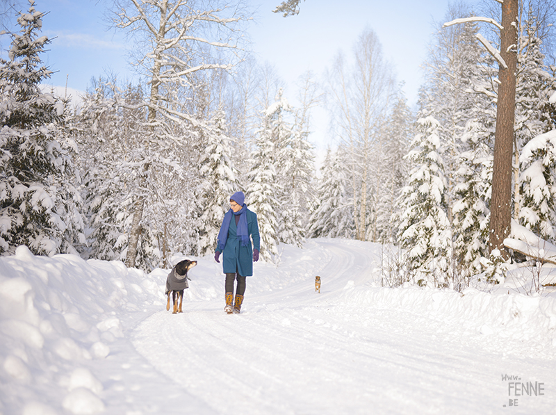 Wednesday Wanderings (07)| hiking and nature photography in Dalarna, Sweden | blog on www.Fenne.be