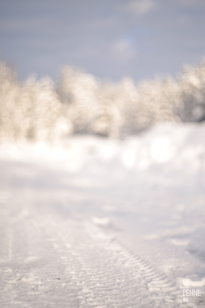 Wednesday Wanderings (07)| hiking and nature photography in Dalarna, Sweden | blog on www.Fenne.be