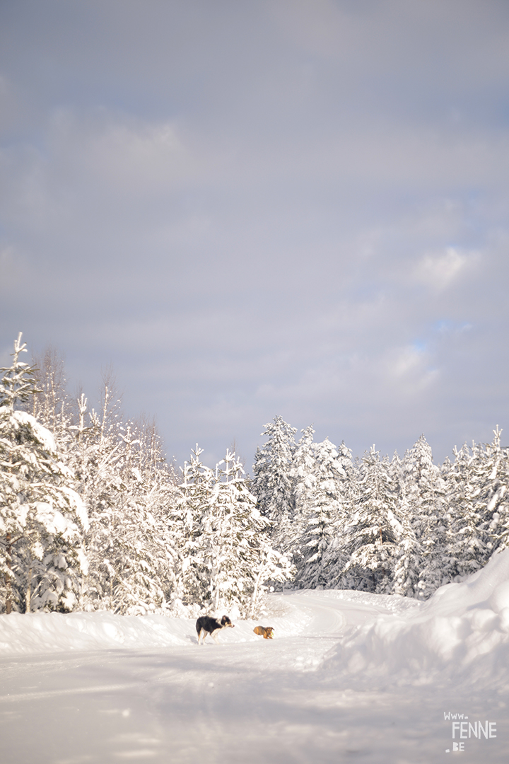 Wednesday Wanderings (07)| hiking and nature photography in Dalarna, Sweden | blog on www.Fenne.be