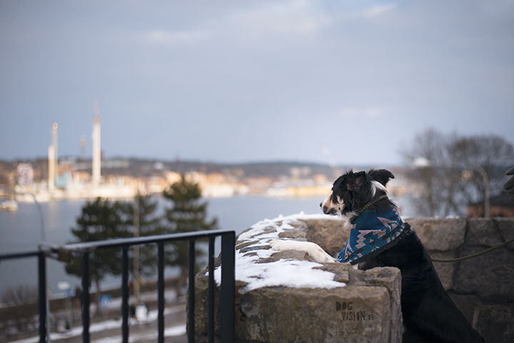 Wednesday Wanderings (09)| A day in Södermalm, Stockholm | Wanderlust Sweden | www.Fenne.be