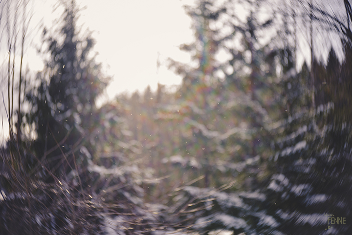 Wednesday Wanderings (10)| nature photography in Sweden | creative photography blog | wanderlust