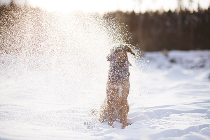 Wednesday Wanderings (12), blog about nature, photography and Sweden on www.Fenne.be