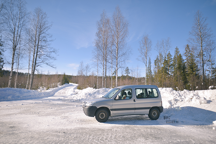 Wednesday Wanderings (13), nature photography, wanderlust, Dalarna, Sweden, blog on www.Fenne.be)