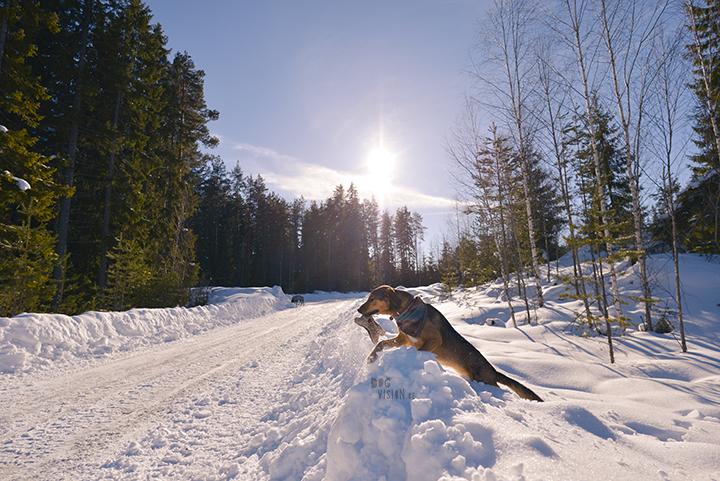 Wednesday Wanderings (13), nature photography, wanderlust, Dalarna, Sweden, blog on www.Fenne.be)