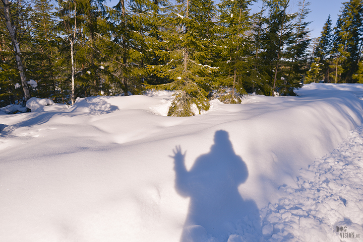 Wednesday Wanderings (13), nature photography, wanderlust, Dalarna, Sweden, blog on www.Fenne.be)